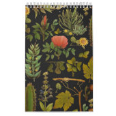 Kaktus Kalender (Titelbild)