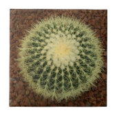 Kaktus-kleine (4,25" x 4,25") Keramik-Foto-Fliese Fliese (Vorderseite)