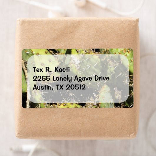 Kaktus-Label (Insitu)