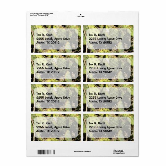 Kaktus-Label (Vorne)