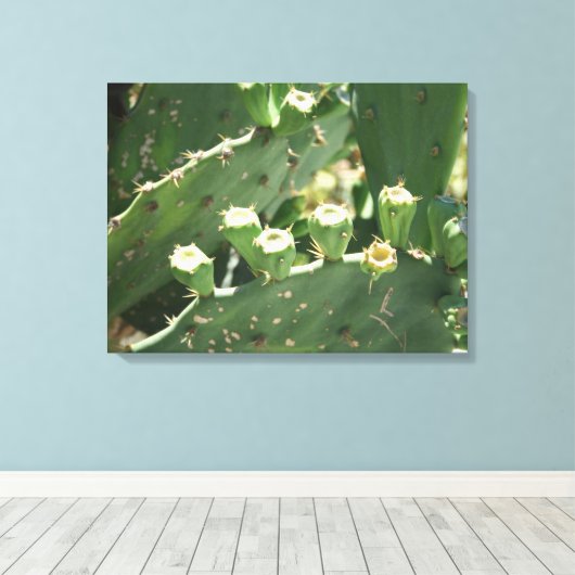 Kaktus Leinwanddruck (Insitu (Holzboden))