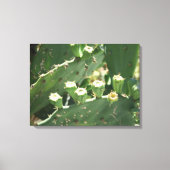 Kaktus Leinwanddruck (Vorderseite)