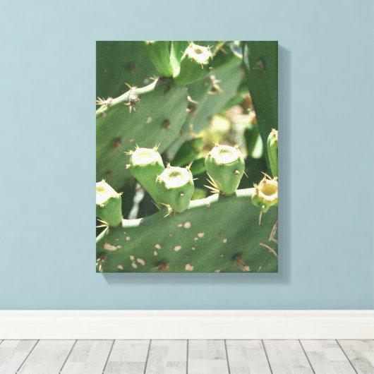Kaktus Leinwanddruck (Insitu (Holzboden))