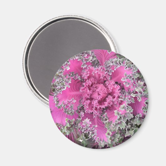 Kaktus Magnet (Vorderseite/Rückseite)