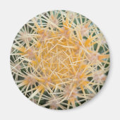 Kaktus Magnet (Vorne)