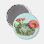 Kaktus Magnet (Vorderseite/Rückseite)