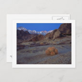 "Kaktus mit Ansicht" Postkarte (Vorne/Hinten)