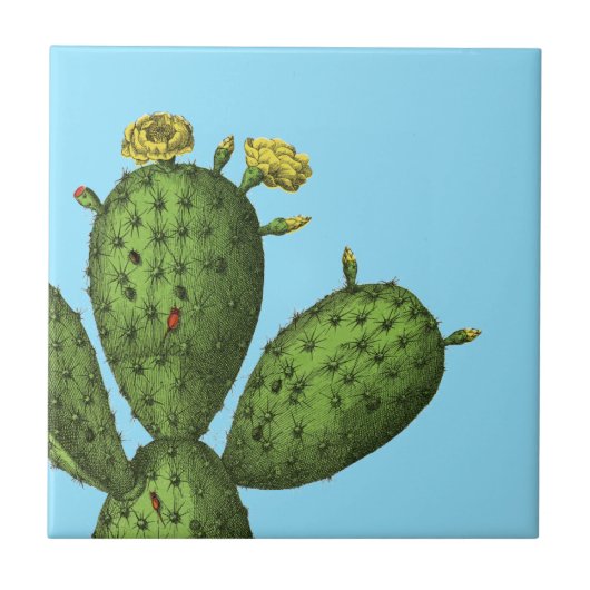 Kaktus mit gelben Blumen Fliese (Vorderseite)