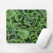 Kaktus Mousepad (Mit Mouse)