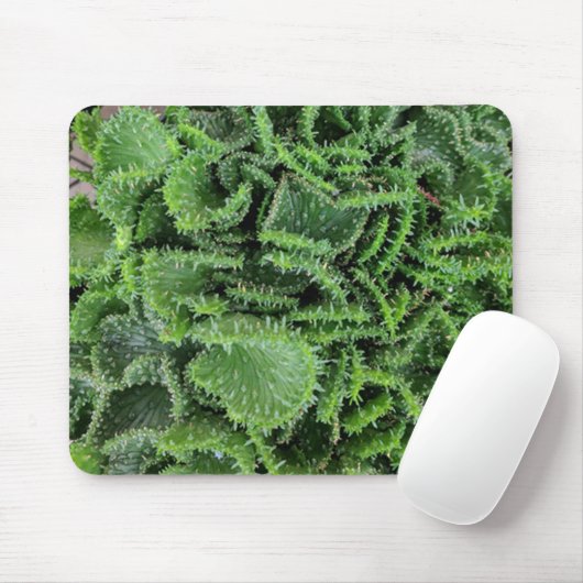 Kaktus Mousepad (Mit Mouse)