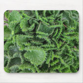 Kaktus Mousepad (Vorne)