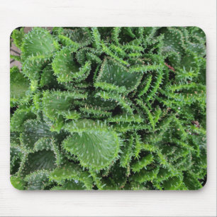 Kaktus Mousepad