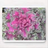 Kaktus Mousepad (Vorne)