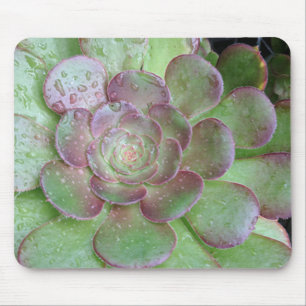 Kaktus Mousepad
