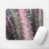 Kaktus Mousepad (Mit Mouse)