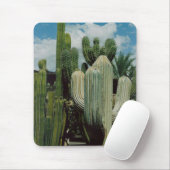 Kaktus Mousepad (Mit Mouse)