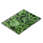 Kaktus Notizblock (Linke Seite)