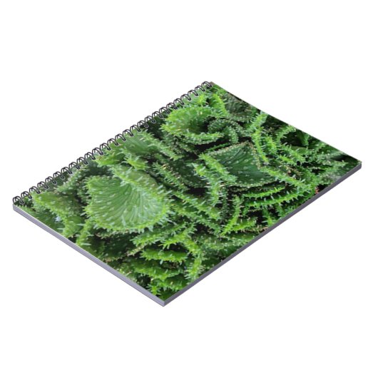 Kaktus Notizblock (Linke Seite)