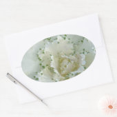 Kaktus Ovaler Aufkleber (Umschlag)