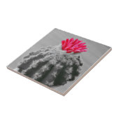 Kaktus Pflanze Schwarz-weißes Foto mit rosa Blume Fliese (Seite)