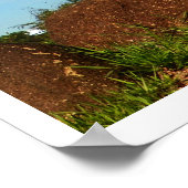 Kaktus Poster (Ecke)