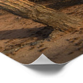 Kaktus Poster (Ecke)