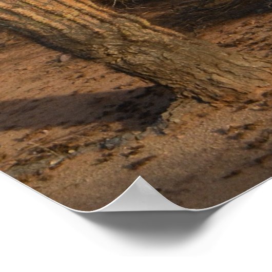 Kaktus Poster (Ecke)