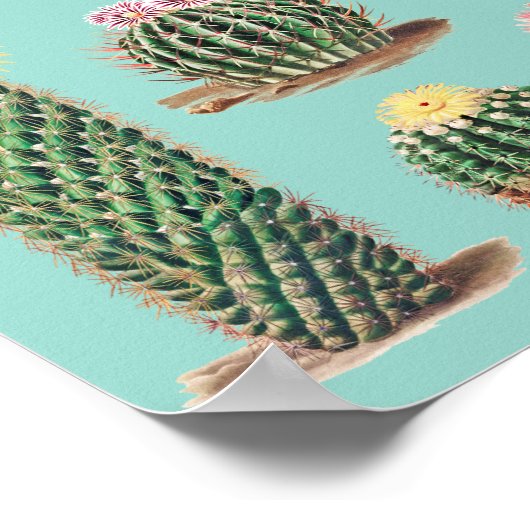 Kaktus Poster (Ecke)