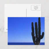 Kaktus Postkarte (Vorne/Hinten)