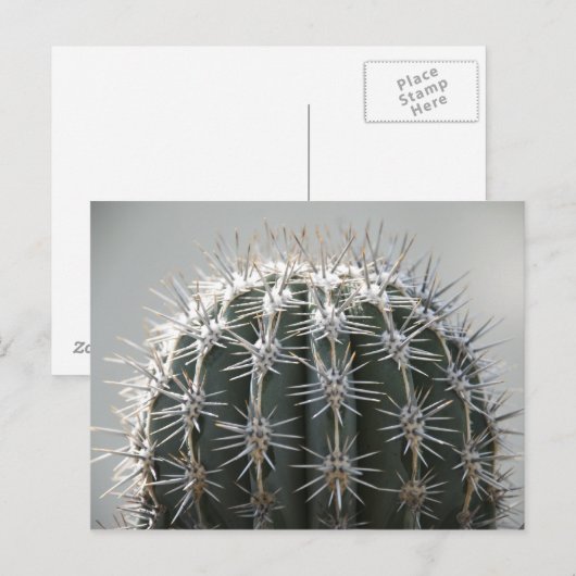 Kaktus Postkarte (Vorne/Hinten)