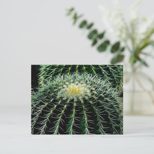 Kaktus Postkarte (Stehend Vorderseite)