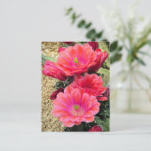 Kaktus:Postkarte Postkarte (Stehend Vorderseite)