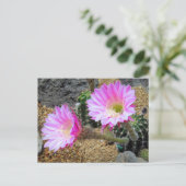 Kaktus:Postkarte Postkarte (Stehend Vorderseite)