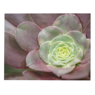 Kaktus Print   Eine Wüstenkaktus-Blume Notizblock