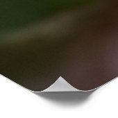 Kaktus Print | Eine Wüstenkaktus-Blume Poster (Ecke)