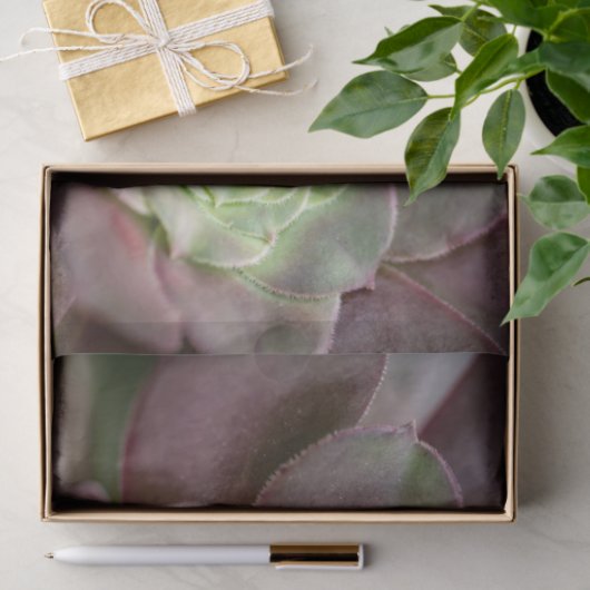 Kaktus Print | Eine Wüstenkaktus-Blume Seidenpapier (Geschenk)