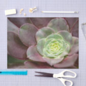 Kaktus Print | Eine Wüstenkaktus-Blume Seidenpapier (Handwerk)