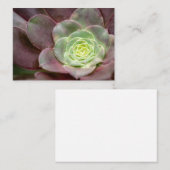 Kaktus Print | Eine Wüstenkaktus-Blume Visitenkarte (Vorne/Hinten)