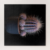 Kaktus-Puzzle Puzzle (Horizontal)