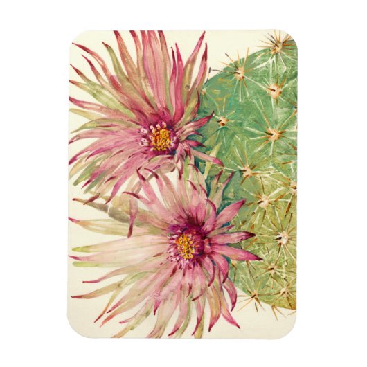 Kaktus Rosa Blüten Magnet (Vertikal)