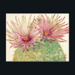 Kaktus Rosa Blüten Postkarte<br><div class="desc">Cactus Pink Blossoms Artist: Tim Oole</div>