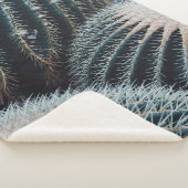 Kaktus Sherpadecke (3/4)