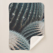 Kaktus Sherpadecke (Vorderseite)