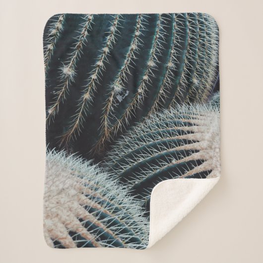 Kaktus Sherpadecke (Vorderseite)