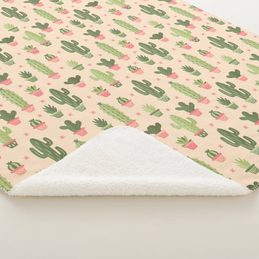 Kaktus Sherpadecke (3/4)