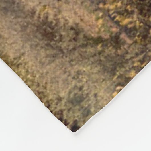 Kaktus-Sonnenuntergang in Arizona Fleecedecke (Ecke)