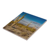 Kaktus-Sonnenuntergang in Arizona Fliese (Seite)