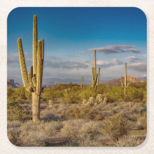 Kaktus-Sonnenuntergang in Arizona Rechteckiger Pappuntersetzer