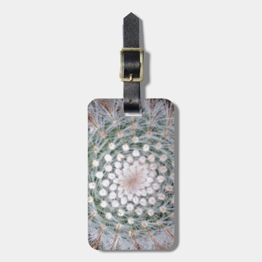 Kaktus-Spirale Gepäckanhänger (Vorderseite vertikal)