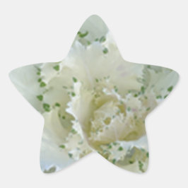 Kaktus Stern-Aufkleber